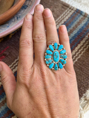 Large Cluster Ring