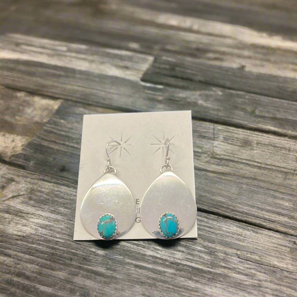 Shiny Silver and Turquoise Dangles